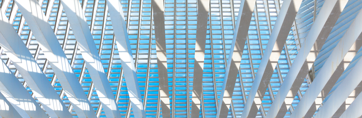 [Divider] [Management report] Building